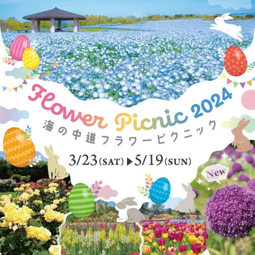 海の中道フラワーピクニック2024 福岡に春を告げる花の祭典が今年も始まります。
